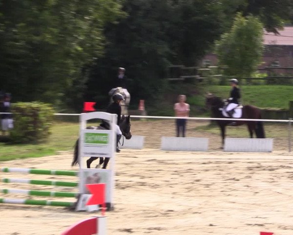 Springturnier Lüdinghausen 2021