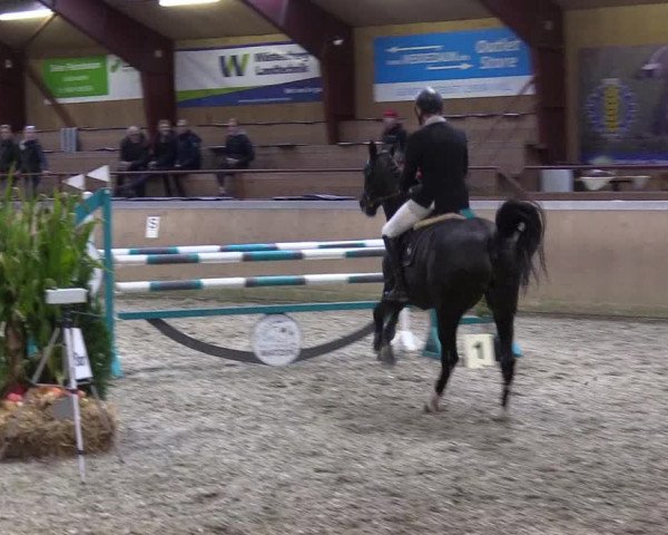 Behrendorfer Reitertage 2022