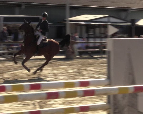Reitturnier Kamen 2022