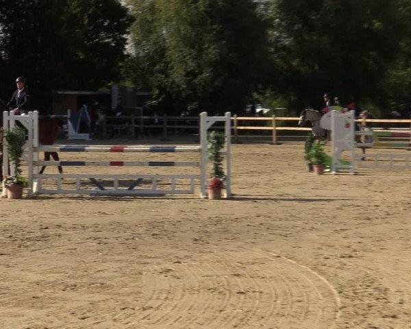 Reitturnier Kamen 2022