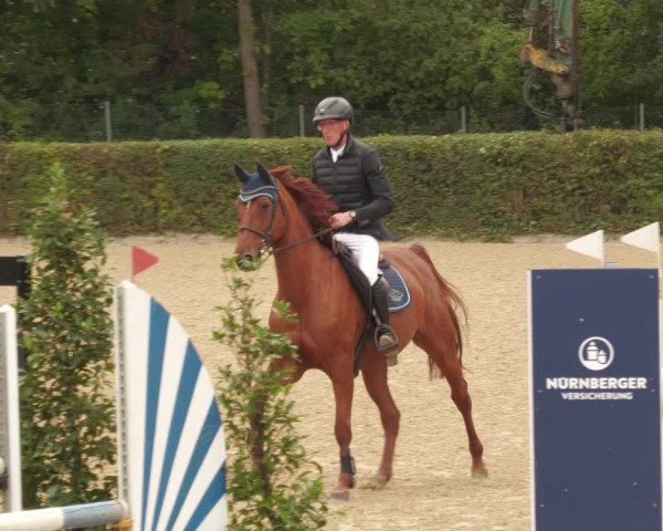 Reitturnier Böblingen 2022