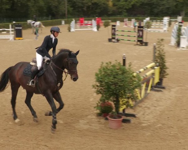 Reitturnier Böblingen 2022