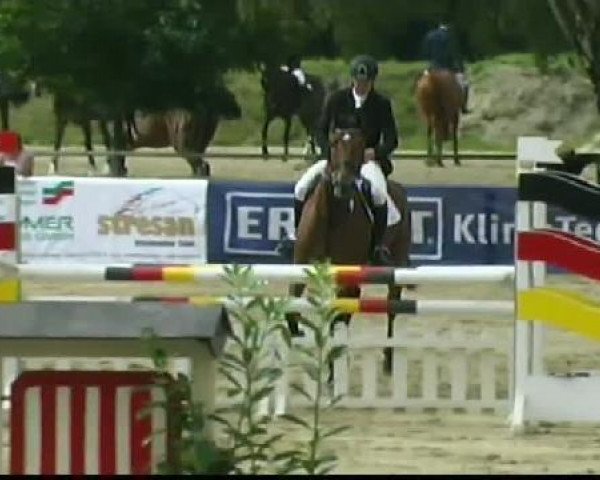 Springpferd Abasourdissant (KWPN (Niederländisches Warmblut), 2005, von Marlon)