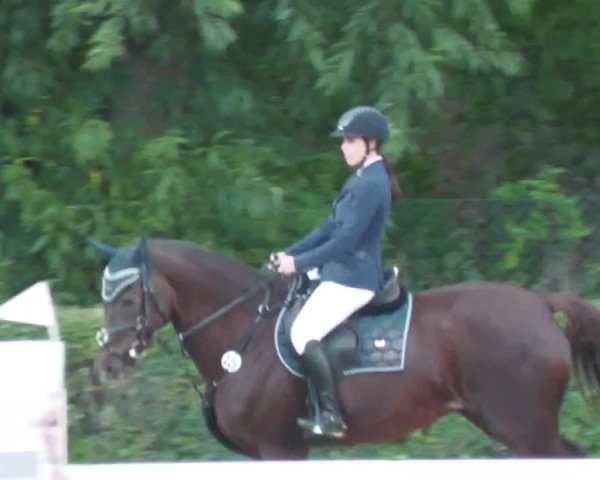 Reitturnier Böblingen 2022