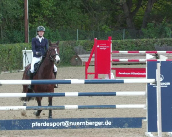 Reitturnier Böblingen 2022