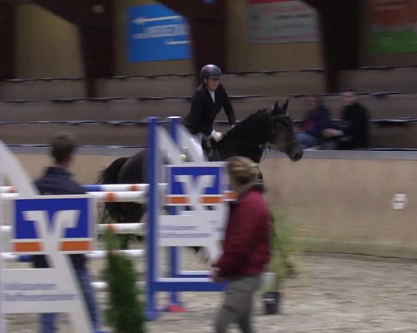 Behrendorfer Reitertage 2022
