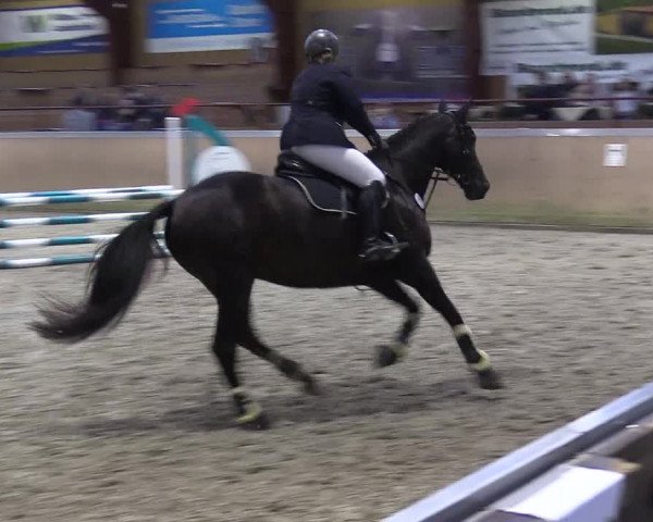 Behrendorfer Reitertage 2022