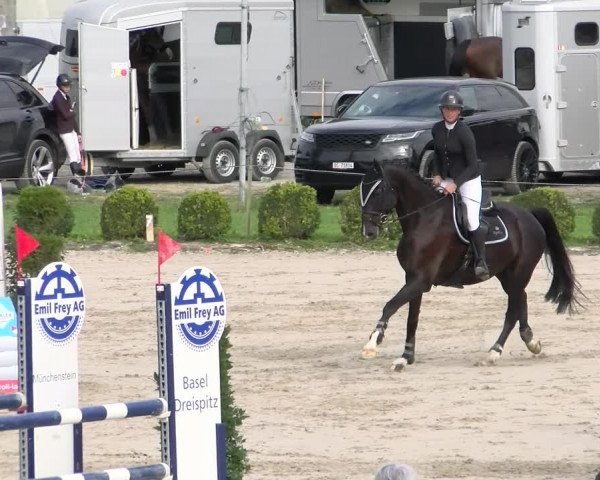 Reitturnier Basel Schänzli 2022