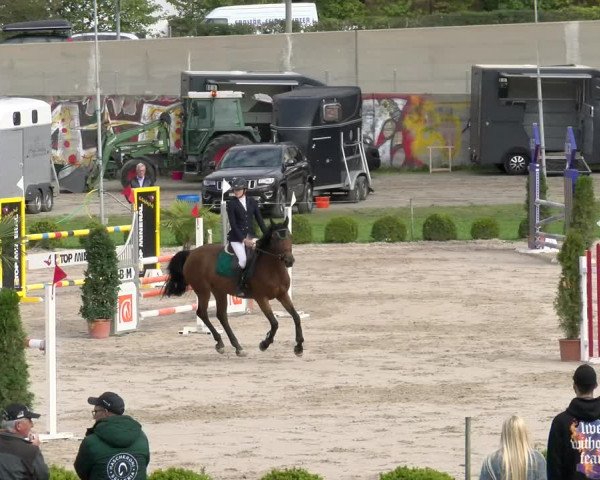 Reitturnier Basel Schänzli 2022
