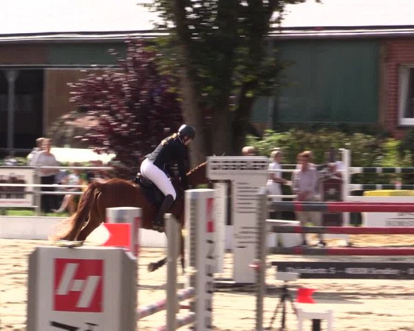 Springturnier Lüdinghausen 2021