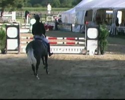 jumper Cadisha 2 (Westphalian, 2007, from Colbert GTI)