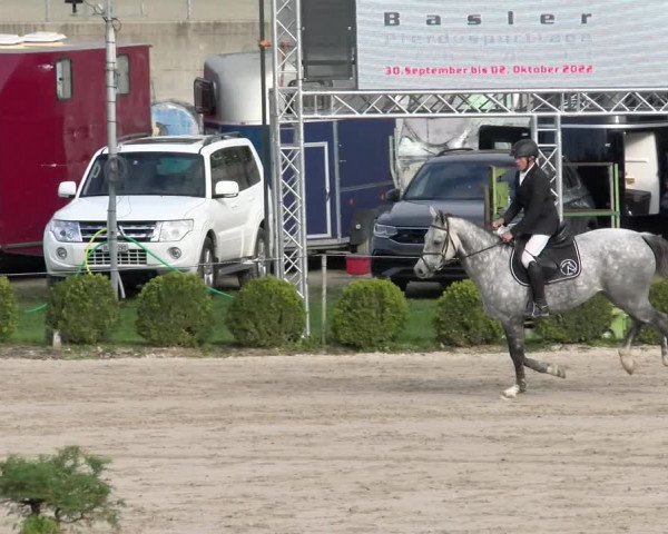 Reitturnier Basel Schänzli 2022