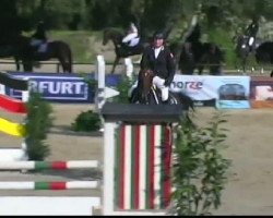 dressage horse Rio (Friese, 2007)