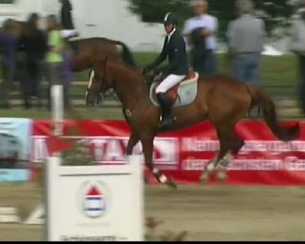 jumper Clounty Guy (Irish Sport Horse, 2005)