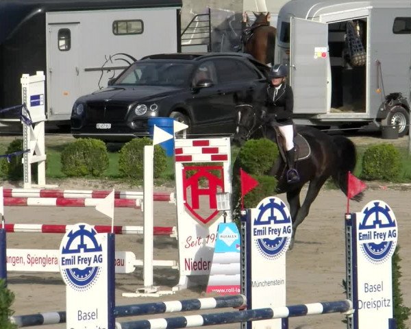 Reitturnier Basel Schänzli 2022