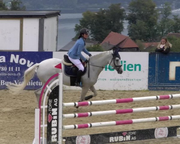 Pferdesporttage Wädenswil 2022