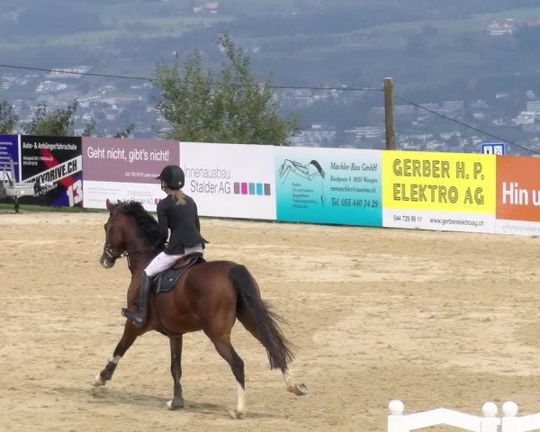 Pferdesporttage Wädenswil 2022