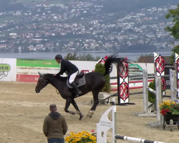 Pferdesporttage Wädenswil 2022