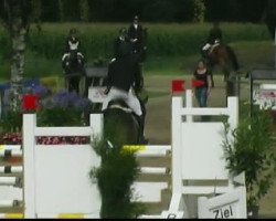 jumper Lucatoni 10 (Rhinelander, 2006, from Lord Lancer)