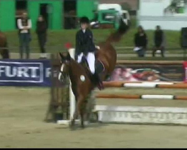 Springpferd Looking for Lilly (Westfale, 2006, von Lenardo)