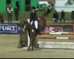 jumper Looking for Lilly (Westphalian, 2006, from Lenardo)