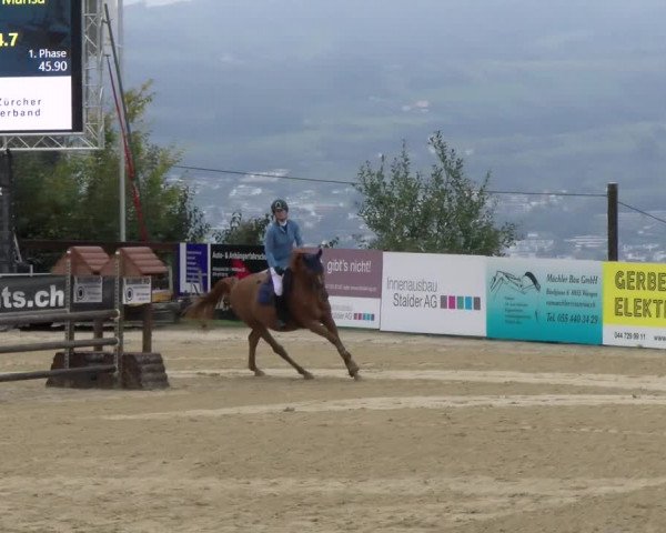 Pferdesporttage Wädenswil 2022