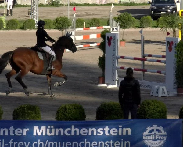 Reitturnier Basel Schänzli 2022