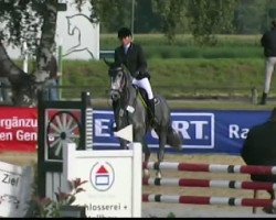 broodmare Calida 70 (Westphalian, 2007, from Calido I)