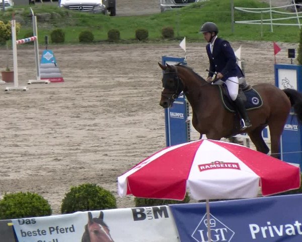 Reitturnier Basel Schänzli 2022