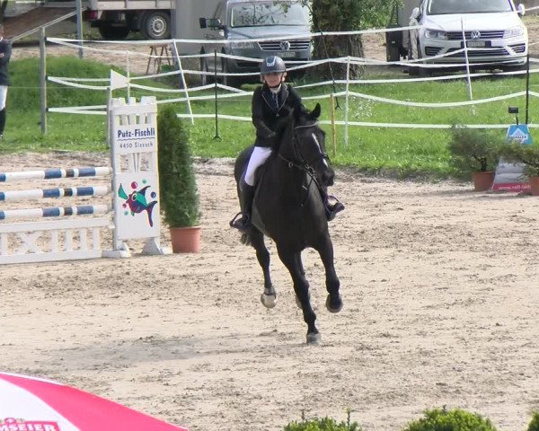 Reitturnier Basel Schänzli 2022