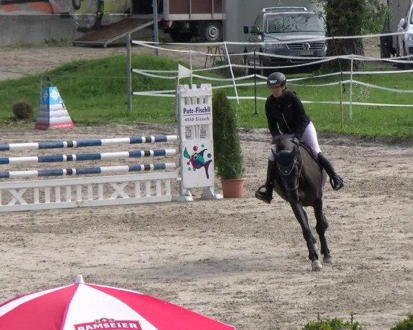 Reitturnier Basel Schänzli 2022