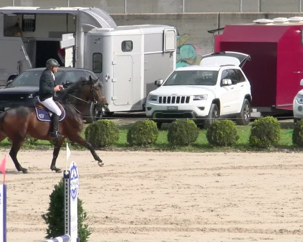 Reitturnier Basel Schänzli 2022