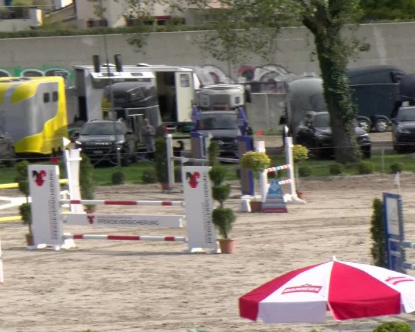 Reitturnier Basel Schänzli 2022