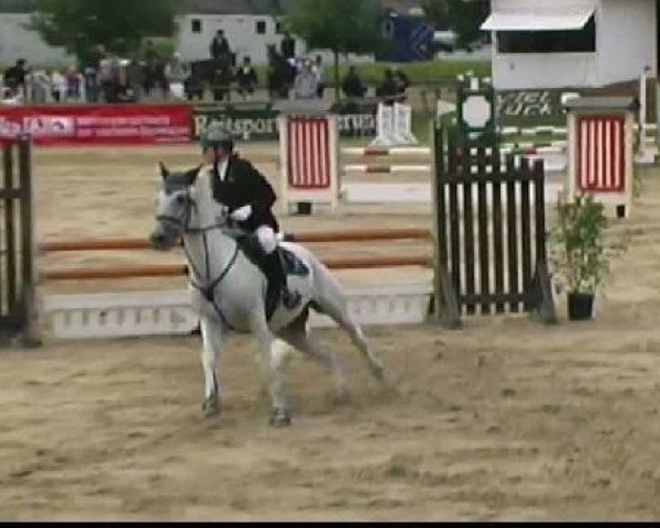 jumper Top-Tornado (German Riding Pony, 1996, from Top Gun II) jumper Top-Tornado (German Riding Pony, 1996, from Top Gun II)