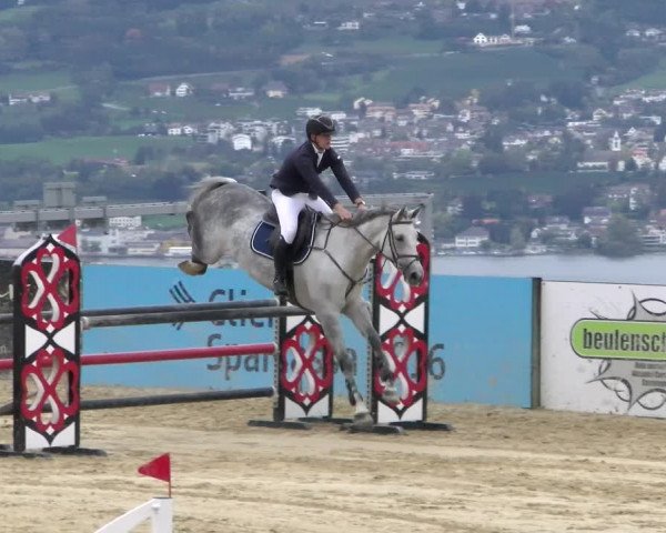 Pferdesporttage Wädenswil 2022