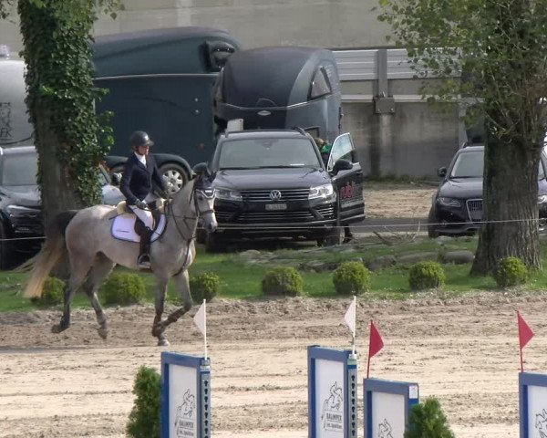 Reitturnier Basel Schänzli 2022