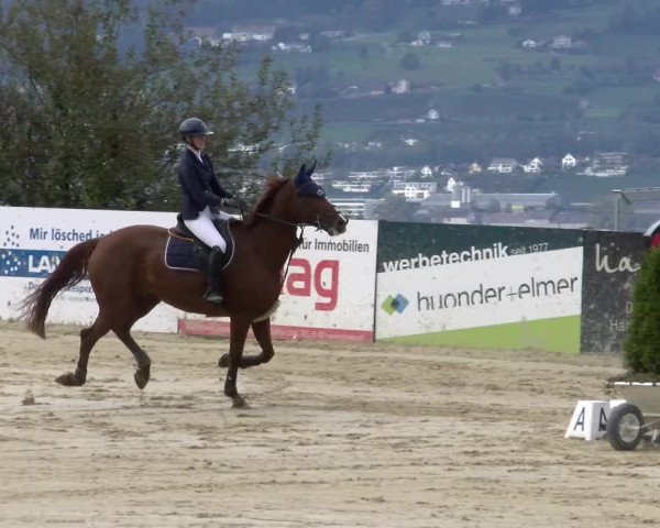 Pferdesporttage Wädenswil 2022