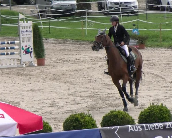 Reitturnier Basel Schänzli 2022
