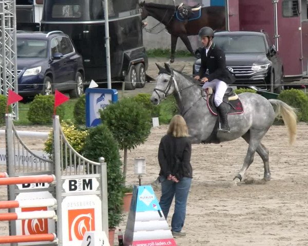 Reitturnier Basel Schänzli 2022