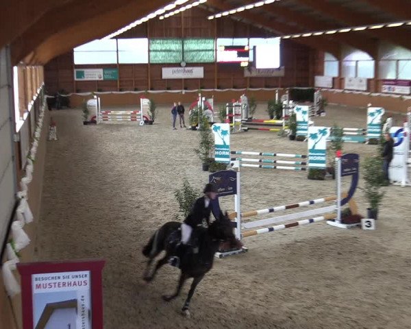 4. Ponyspringturnier Xanten - Reitanlage Miß 2022