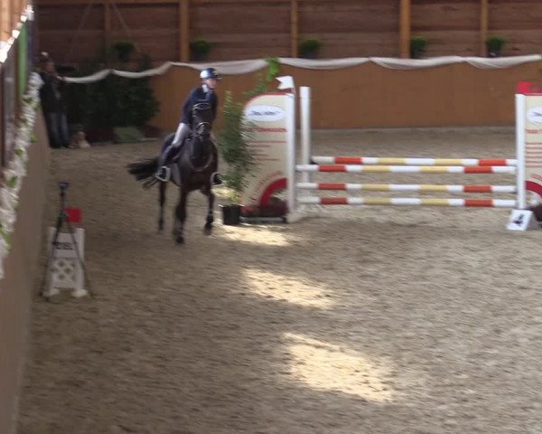 4. Ponyspringturnier Xanten - Reitanlage Miß 2022