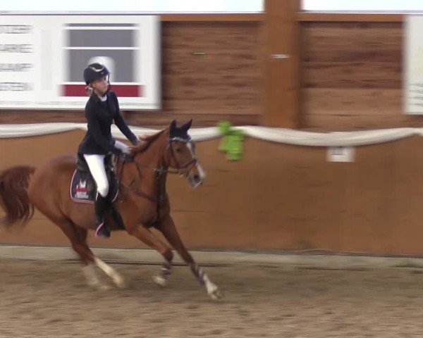 4. Ponyspringturnier Xanten - Reitanlage Miß 2022