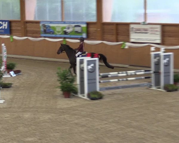 4. Ponyspringturnier Xanten - Reitanlage Miß 2022