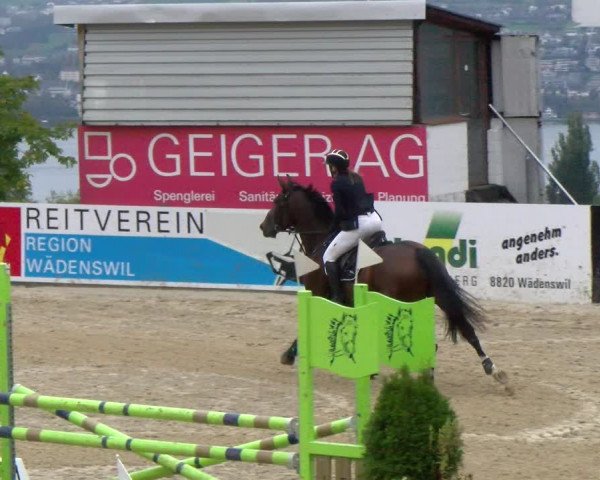 Pferdesporttage Wädenswil 2022