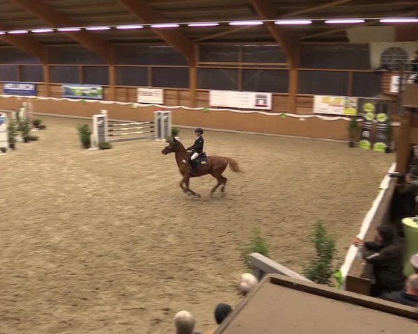 4. Ponyspringturnier Xanten - Reitanlage Miß 2022