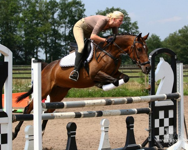jumper My Fair Lady (German Riding Pony, 1997, from Mentos)