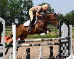jumper My Fair Lady (German Riding Pony, 1997, from Mentos)