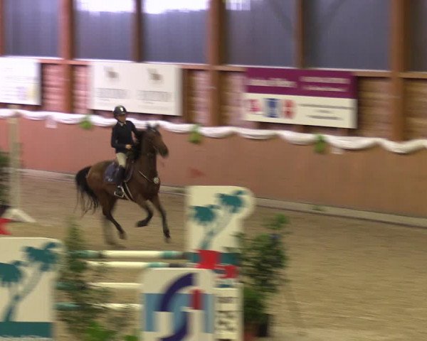4. Ponyspringturnier Xanten - Reitanlage Miß 2022