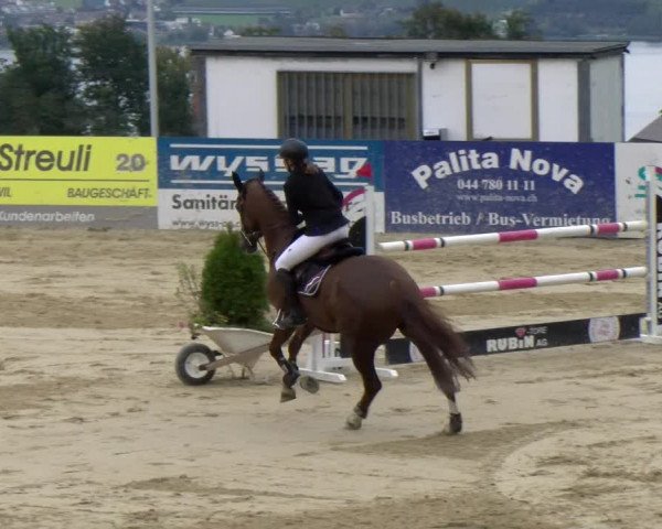 Pferdesporttage Wädenswil 2022