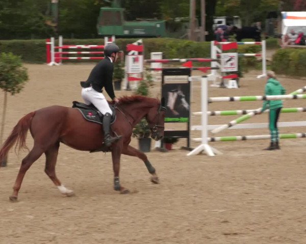 Reitturnier Böblingen 2022